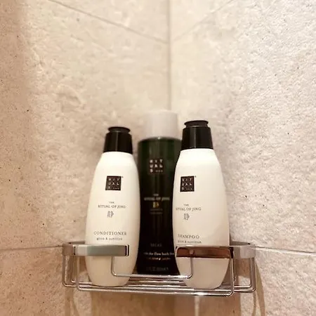 4 Bedroom Penthouse In Waldhaus 公寓 *