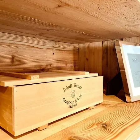 4 Bedroom Penthouse In Waldhaus *