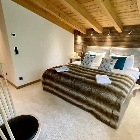 Apartment 4 Bedroom Penthouse In Waldhaus