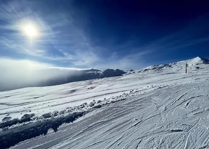 4 Bedroom Penthouse In Waldhaus Appartement