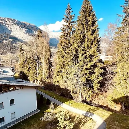 Apartment 4 Bedroom Penthouse In Waldhaus